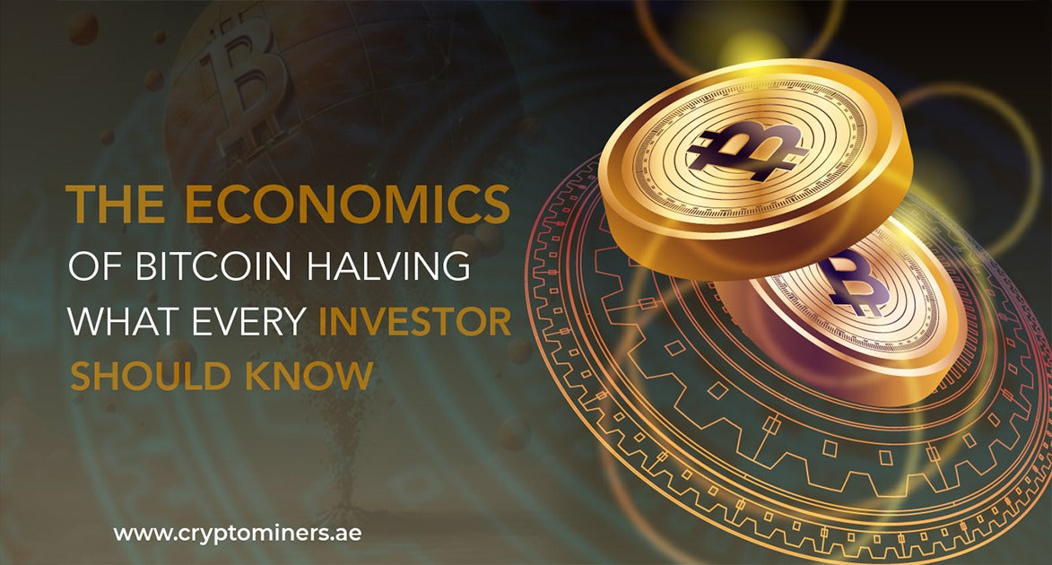 The Economics of Bitcoin Halving: What Every Investor Should Know