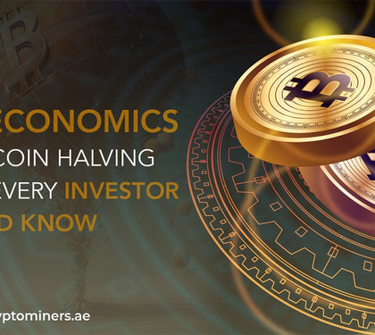 The Economics of Bitcoin Halving: What Every Investor Should Know
