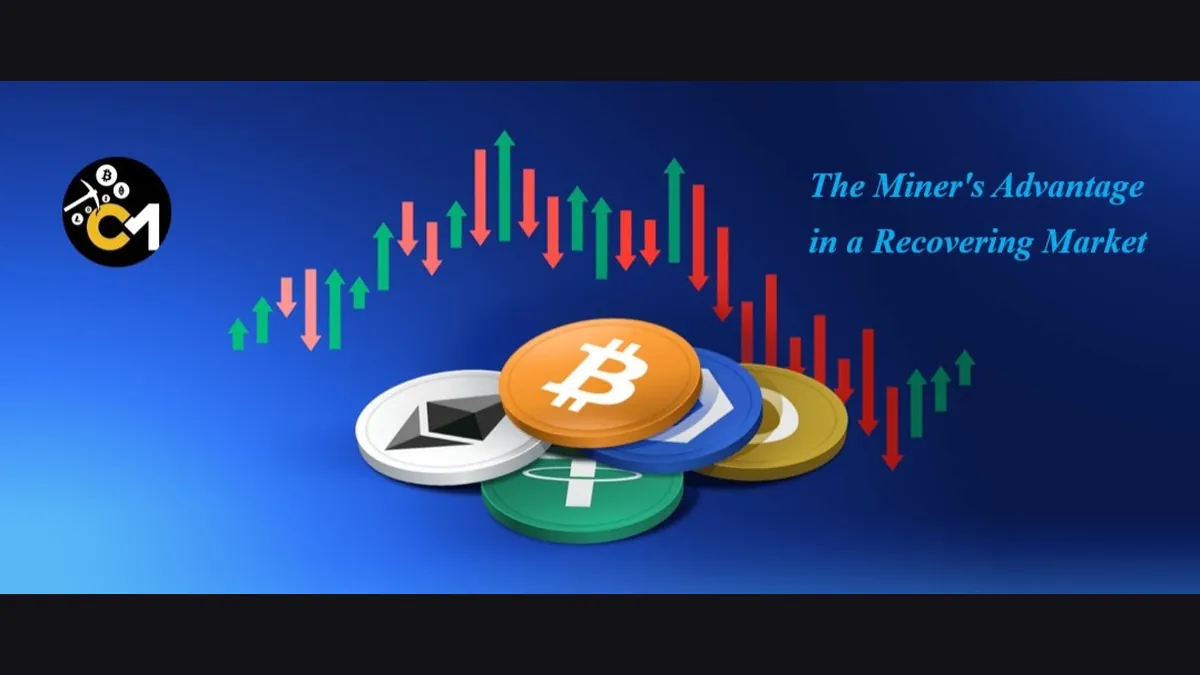 Crypto Market is Back After Price Correction What is Next?