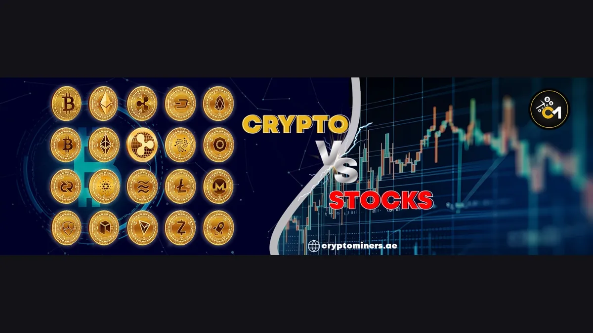 The comparison between Crypto and Stocks
