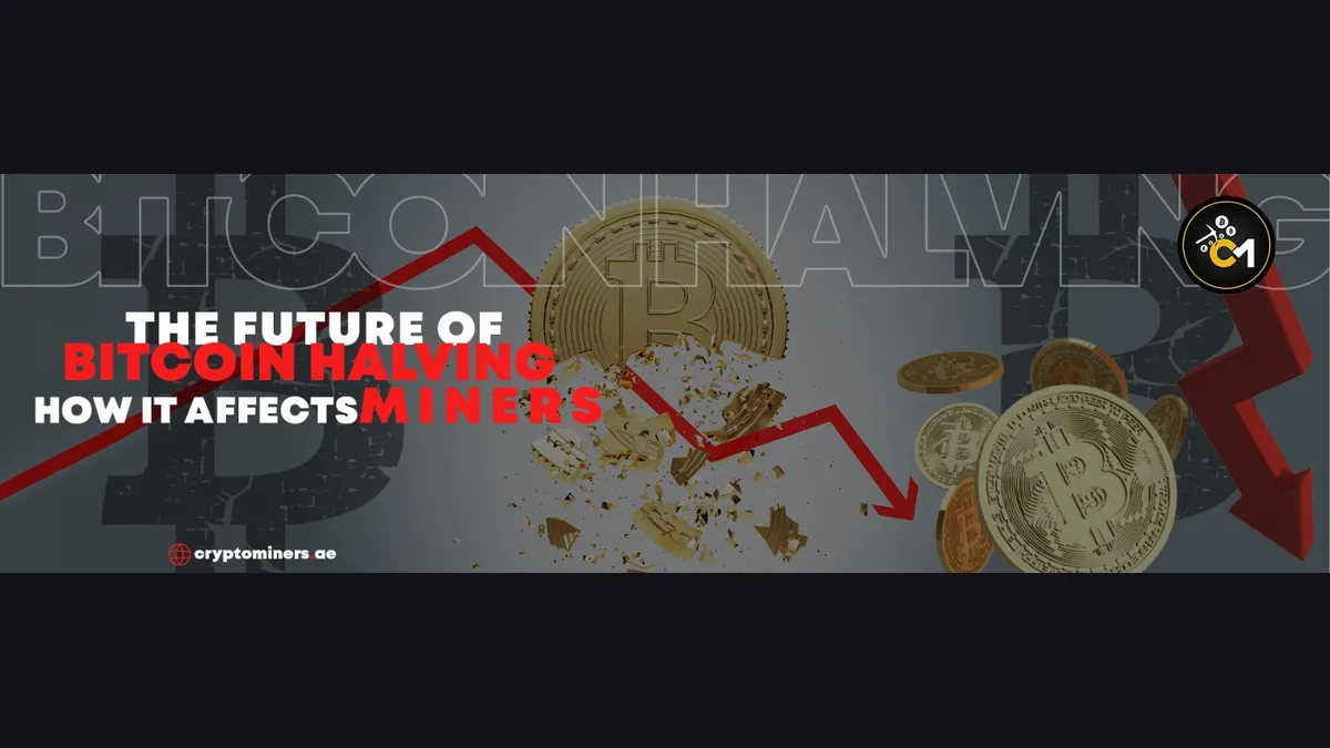 The Future of Bitcoin Halving: How It Affects Miners